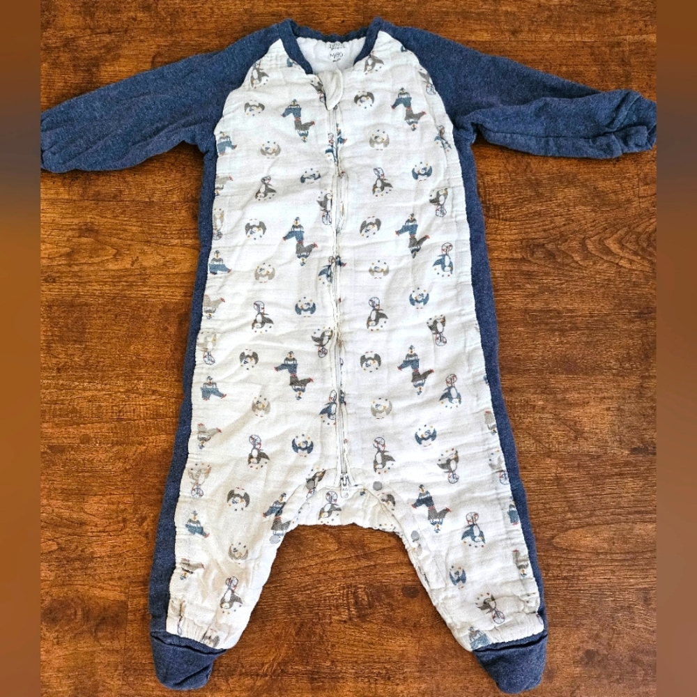 Nest Designs Raglan Long Sleeve Footed Sleep Bag 2.5 TOG (Bamboo), 18M to 2.5T